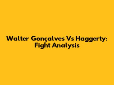 Walter Gonçalves Vs Haggerty: Fight Analysis