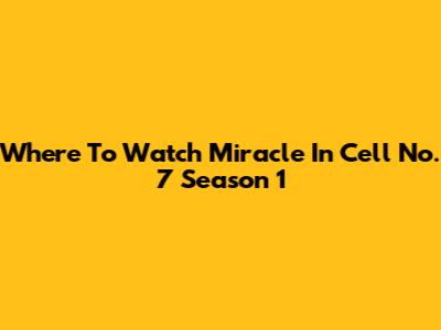 Where To Watch Miracle In Cell No. 7 Season 1