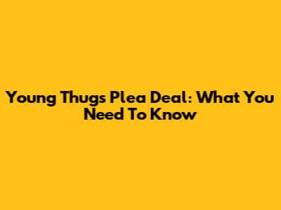 Young Thug's Plea Deal: What You Need To Know